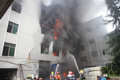 義烏塑料制品廠突發大火，現場濃煙滾滾如焦炭